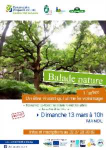 Balade Nature