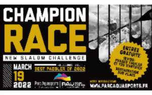 Champion Race - New Slalom Challenge