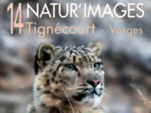 photo RENCONTRES NATUR'IMAGES