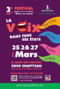 photo CHANT - 3° EDITION FESTIVAL LA VOIX DANS TOUS SES ETATS