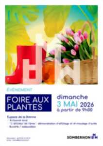Foire aux plantes