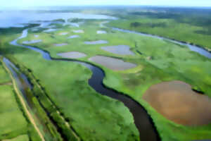 Balade au coeur du delta de la Leyre