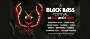 photo Festival Rock - Black Bass Festival