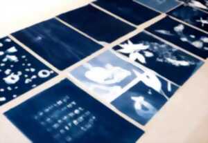 photo Atelier : Cyanotype