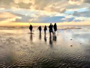 photo Découverte de la pêche à pied