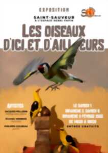 photo Exposition - Les oiseaux d'ici et d'ailleurs