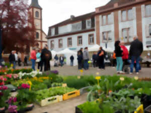 Fête de l'écotourisme