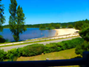 photo Découverte des prairies au bord du lac de Sanguinet