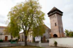 photo Musique en Bas Armagnac