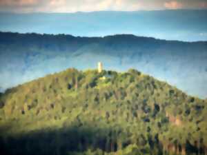 Marche gourmande - Les terrasses de Lapoutroie