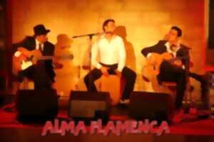 photo Spectacle de danse flamenco