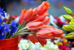 photo Marché aux fleurs