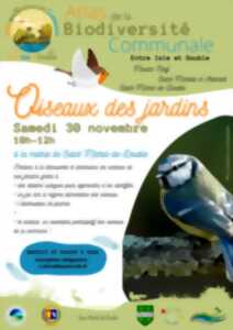 photo Les oiseaux des jardins