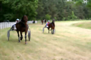 Courses hippiques de trot