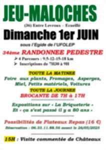 photo Animations à Jeu-Maloches