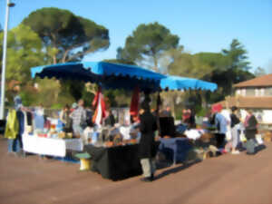 photo Grand Vide Grenier d'automne