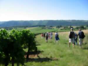 photo Randonnée Pédestre Accompagnée Rando Val : demi-journée à Montcabrier