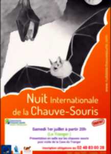 Nuit de la chauve-souris