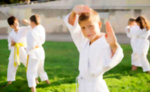 Initiation au Taekwondo - Parc en fête