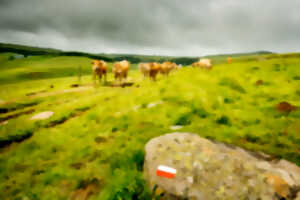 photo Rencontre - les chevaliers d'Aubrac, à la Maison de l'Aubrac