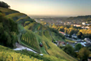 photo Marche Gourmande du vin nouveau