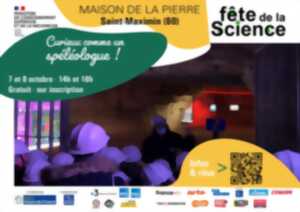 Fête de la Science | Plonger dans l’univers fascinant des coquillages devenus fossiles !