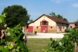 Vendangeur d'un jour au Château Garreau