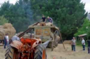 photo Exposition de vieux tracteurs