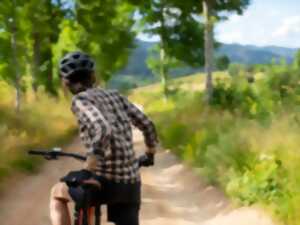 Sortie VTT - Welche E-bike Tour