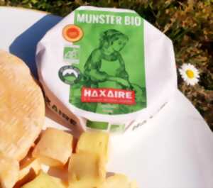 Munster en fête - Fromagerie Haxaire