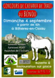 Concours de chevaux de trait