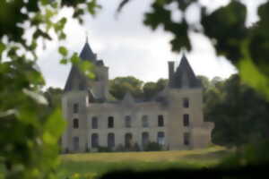 photo Journées Européennes du Patrimoine - Le Château de Ternay