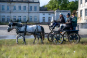 Rallye équestre du sauternais