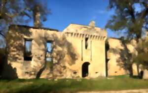 photo JEP - les vestiges du château de Marqueyssac