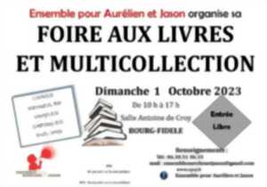 Foire aux livres et multicollection