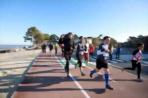 10 km d'Arcachon