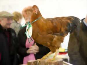 photo Foire aux chapons de Grignols