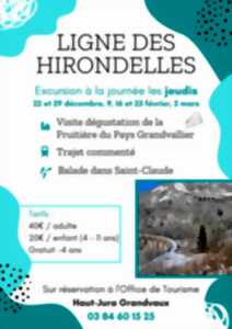 photo Excursion hivernale sur la Ligne des Hirondelles