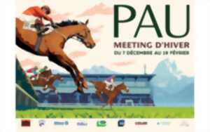 photo Course Hippodrome de Pau - Meeting d'Hiver