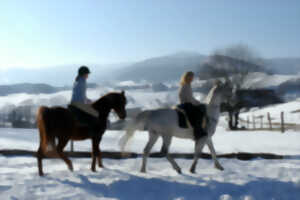 photo Balades enfant/famille à cheval