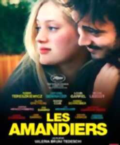 photo Cinéma à Salles-Curan