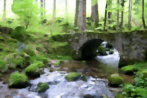 photo Club Vosgien : Marche douce au Sentier des Ponts