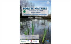 photo Sortie nature