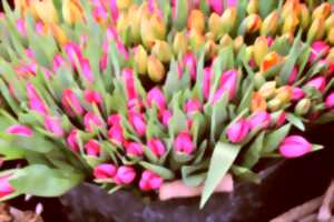 Marché de Printemps et du Terroir