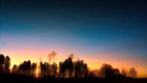 Quand le jour laisse place à la nuit dans les prairies humides