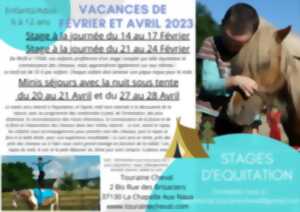 photo Stage d'équitation Touraine Cheval