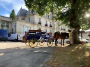 photo Balade attelée en calèche