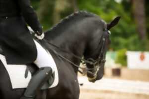 photo Concours de dressage