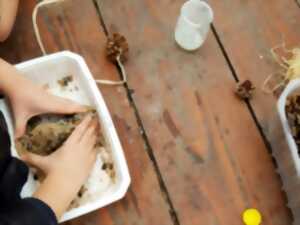 photo Atelier : vive les oiseaux !