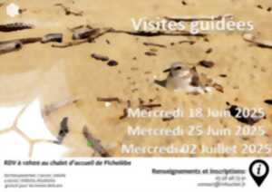 photo Partez à la découverte de la Réserve Naturelle du Courant d'Huchet